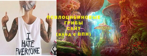 герыч Вяземский